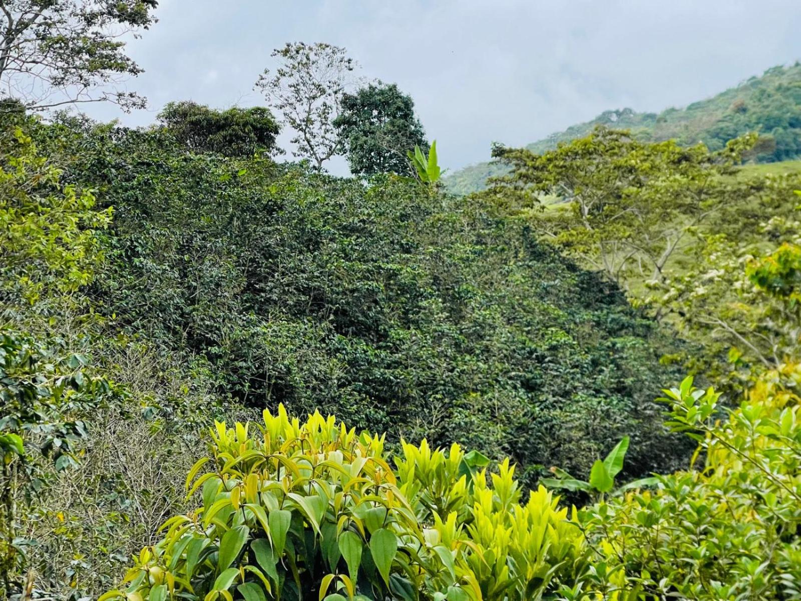 Casa Campesina cerca a Embalse San Lorenzo