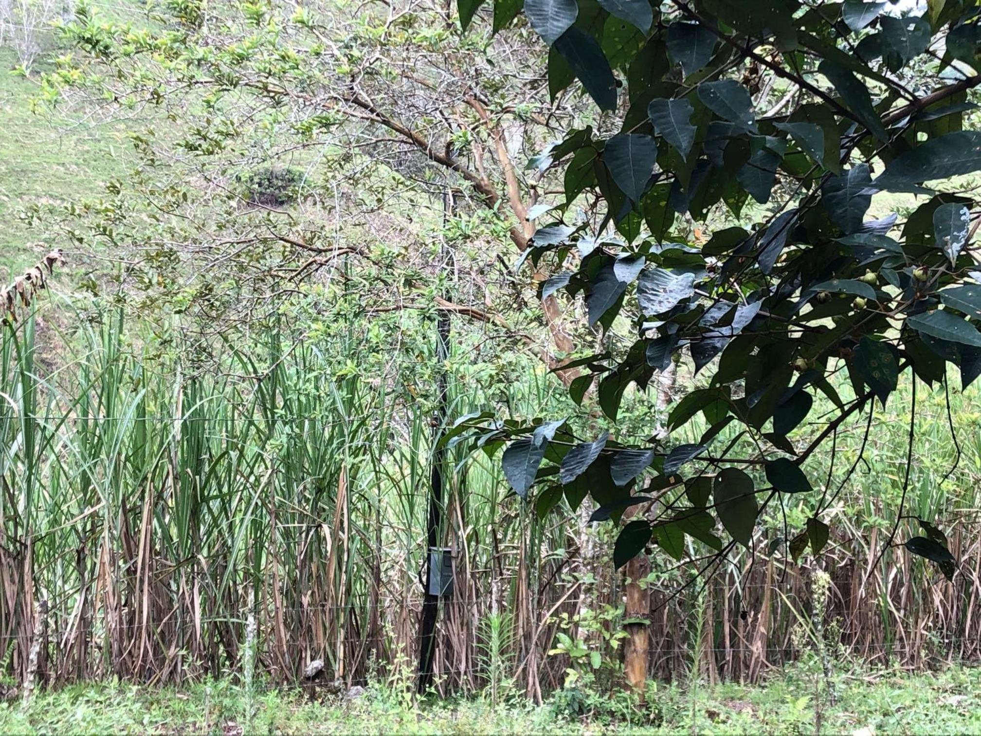 Casa Campesina cerca a Embalse San Lorenzo