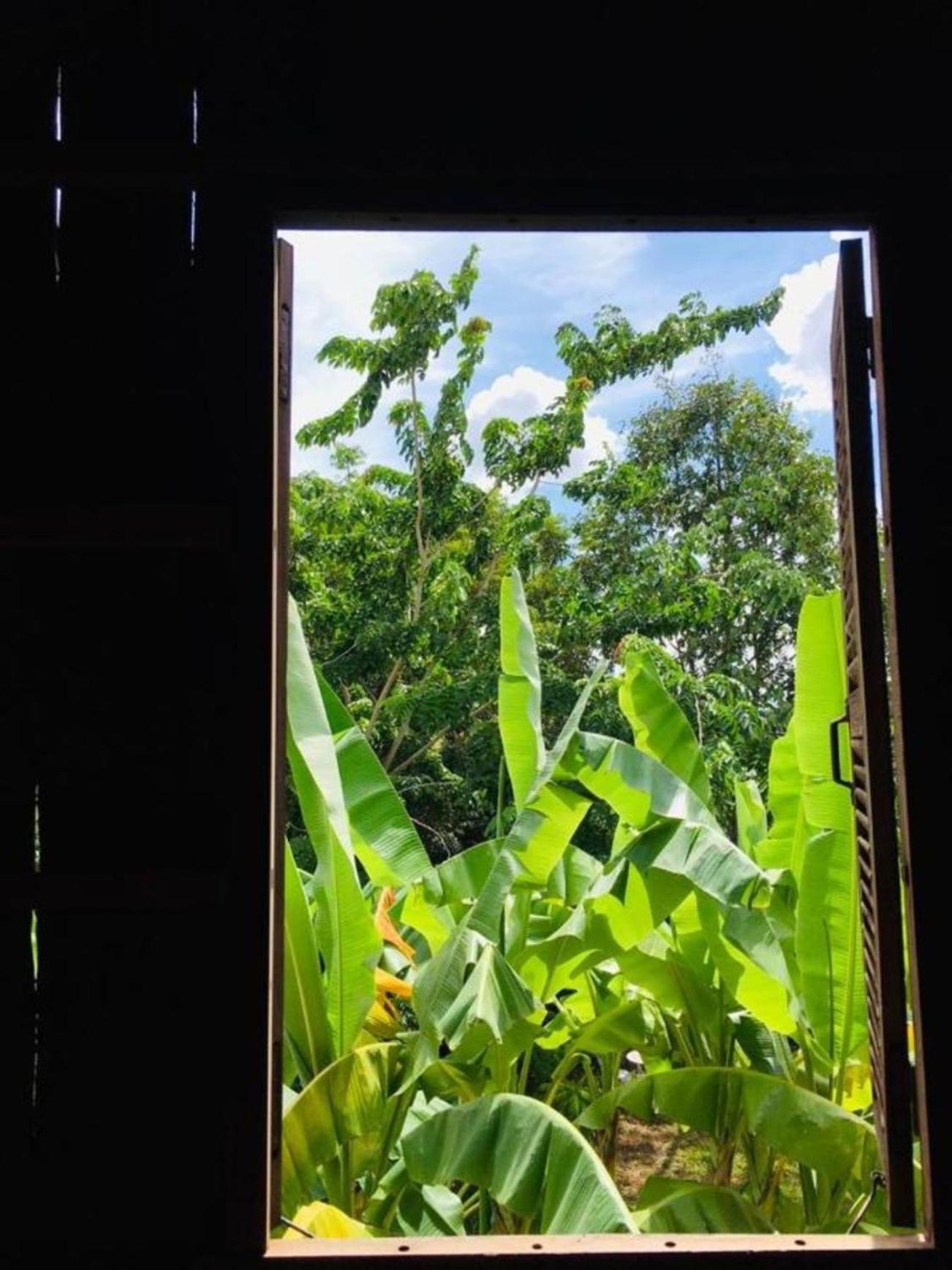 Authentic Wooden Home, Countryside, 10mins Centre! Wat Chreav Homestay