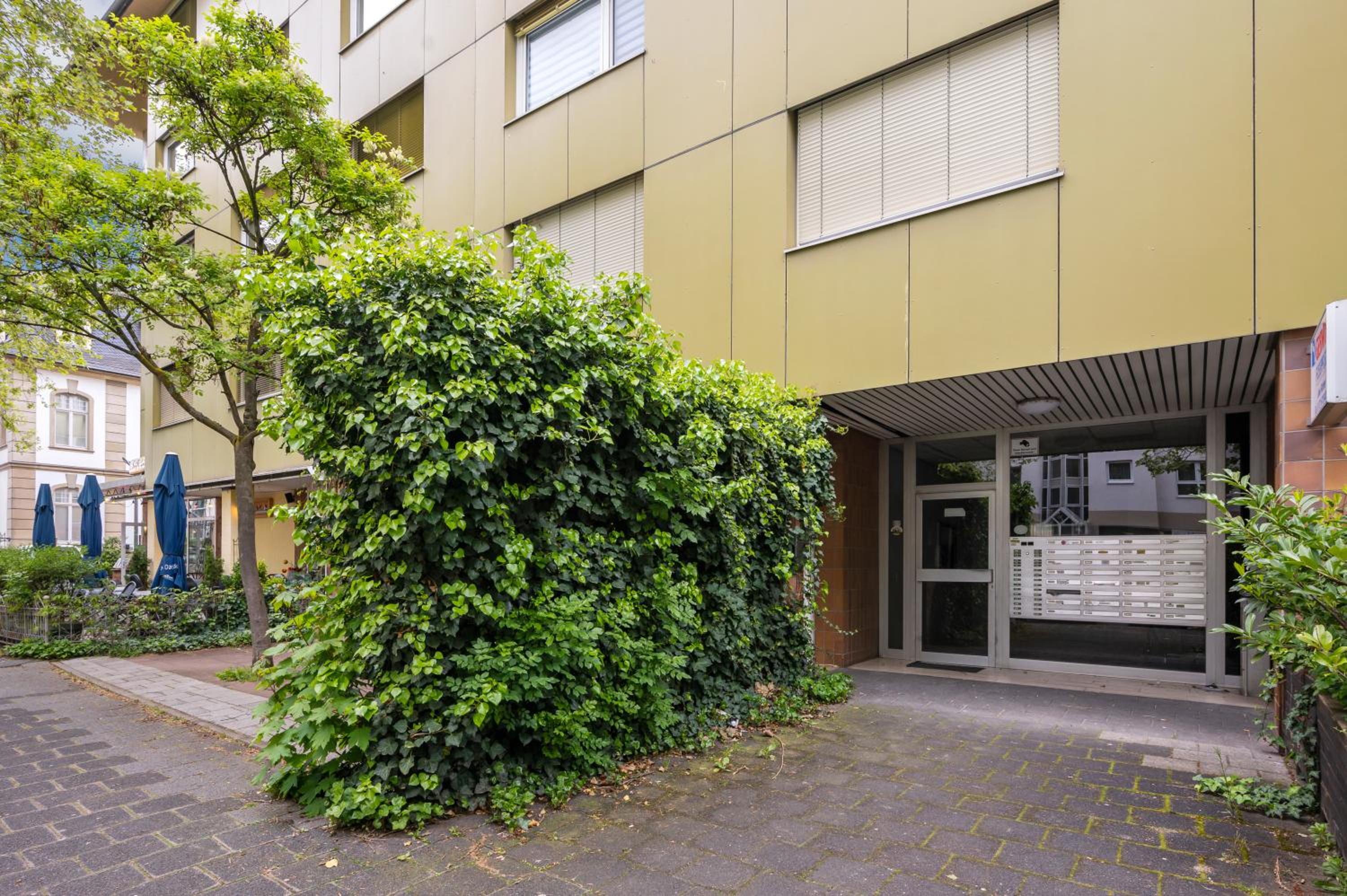 Urban Jungle Studio Apartment