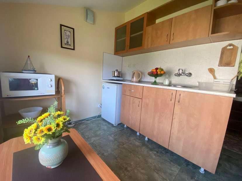 Apartments Yana