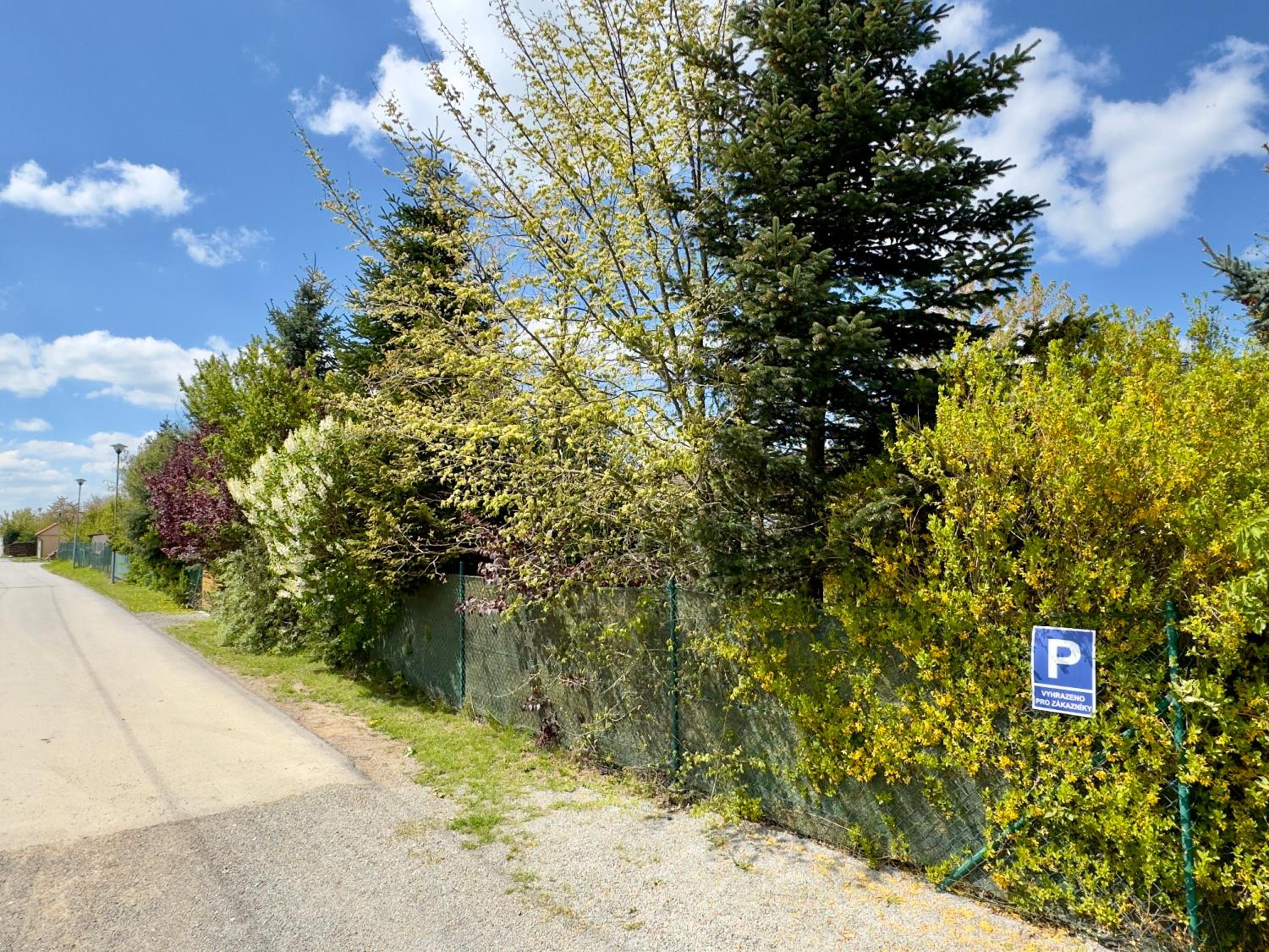Photo 44
