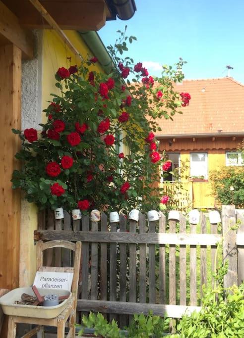 Ferienhaus mit Garten in Thermennähe