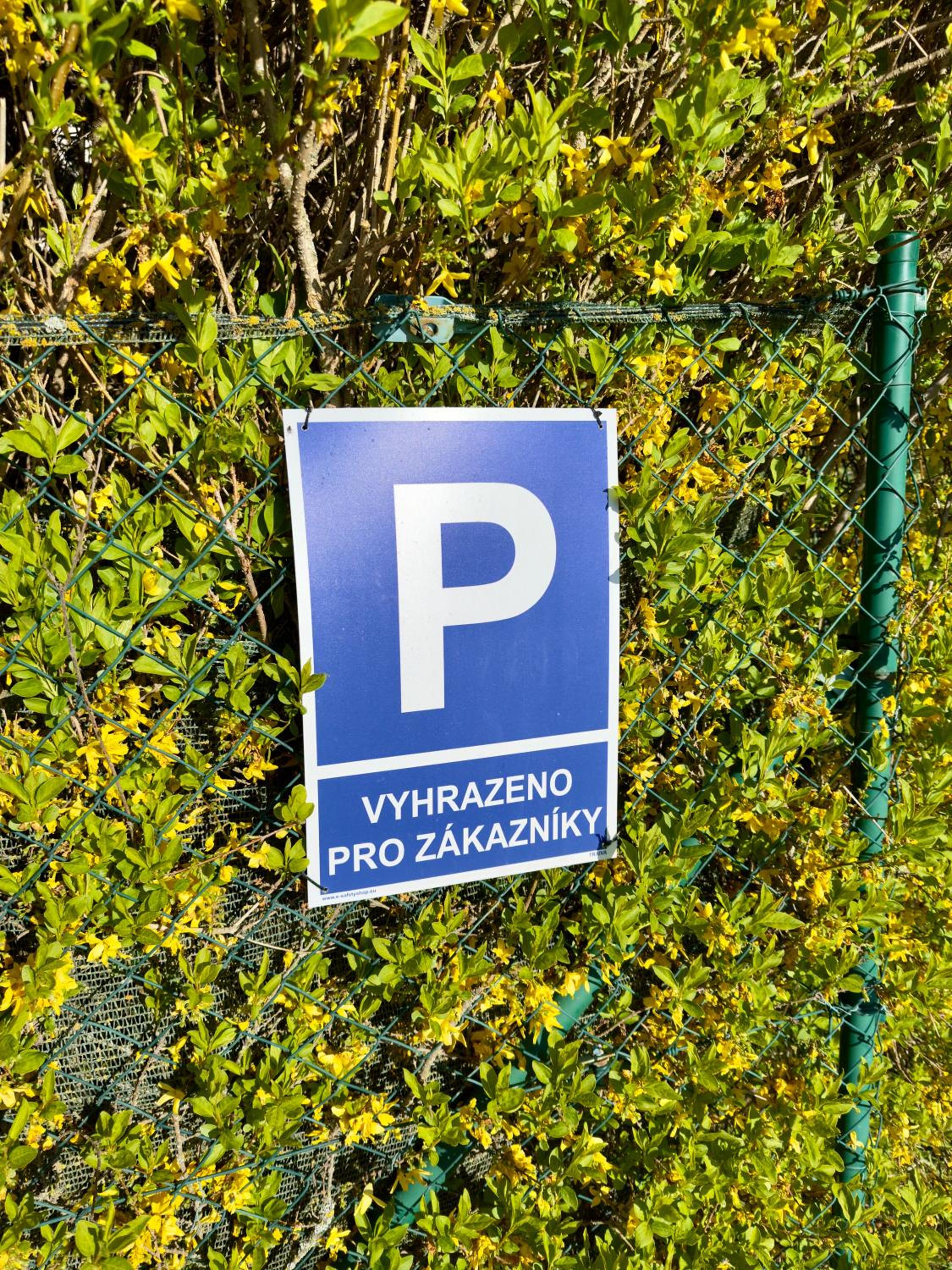 Photo 45