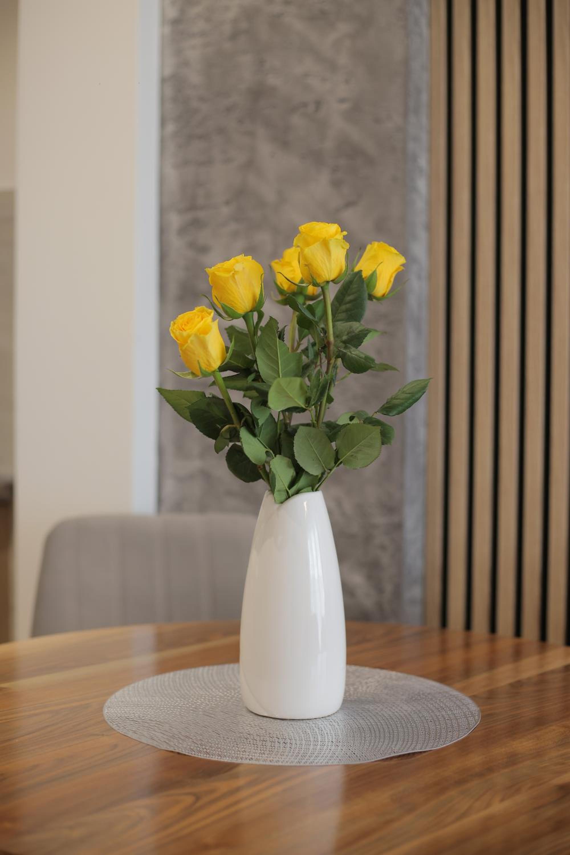 Apartman Zivic