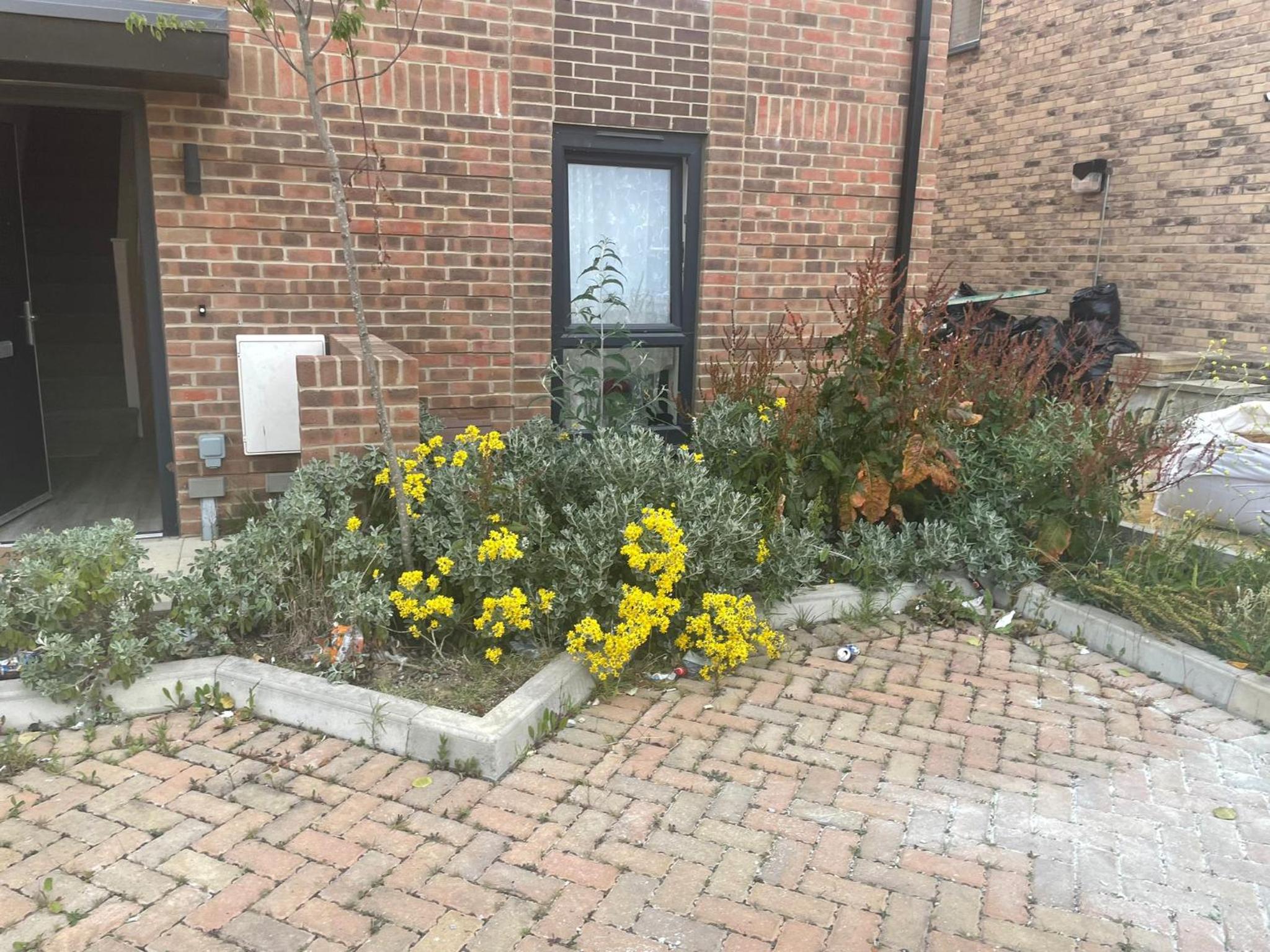 Serene Stay Sanctuary