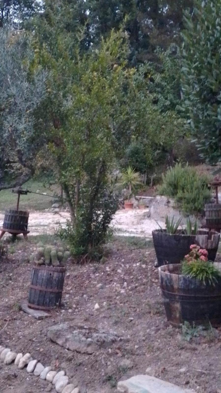 la casetta di nonna Gemma view 2