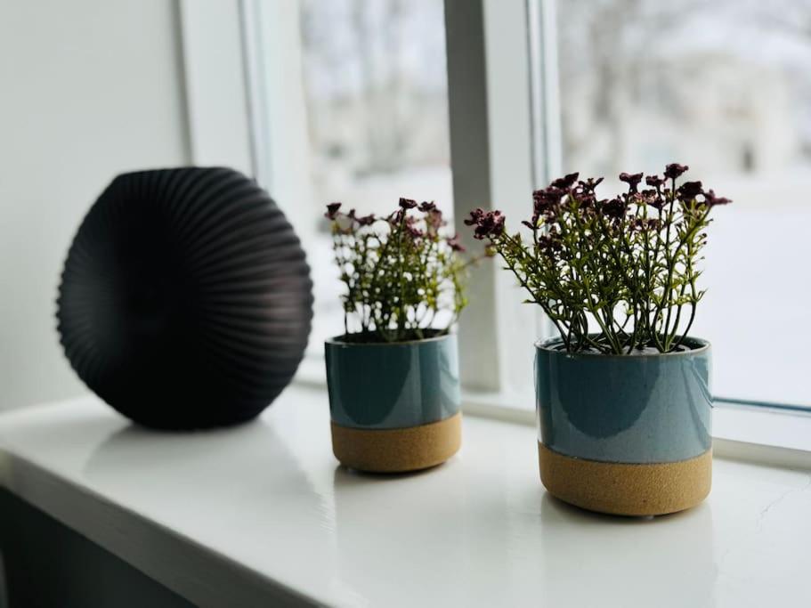 Scandinavian retro