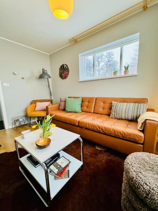 Scandinavian retro