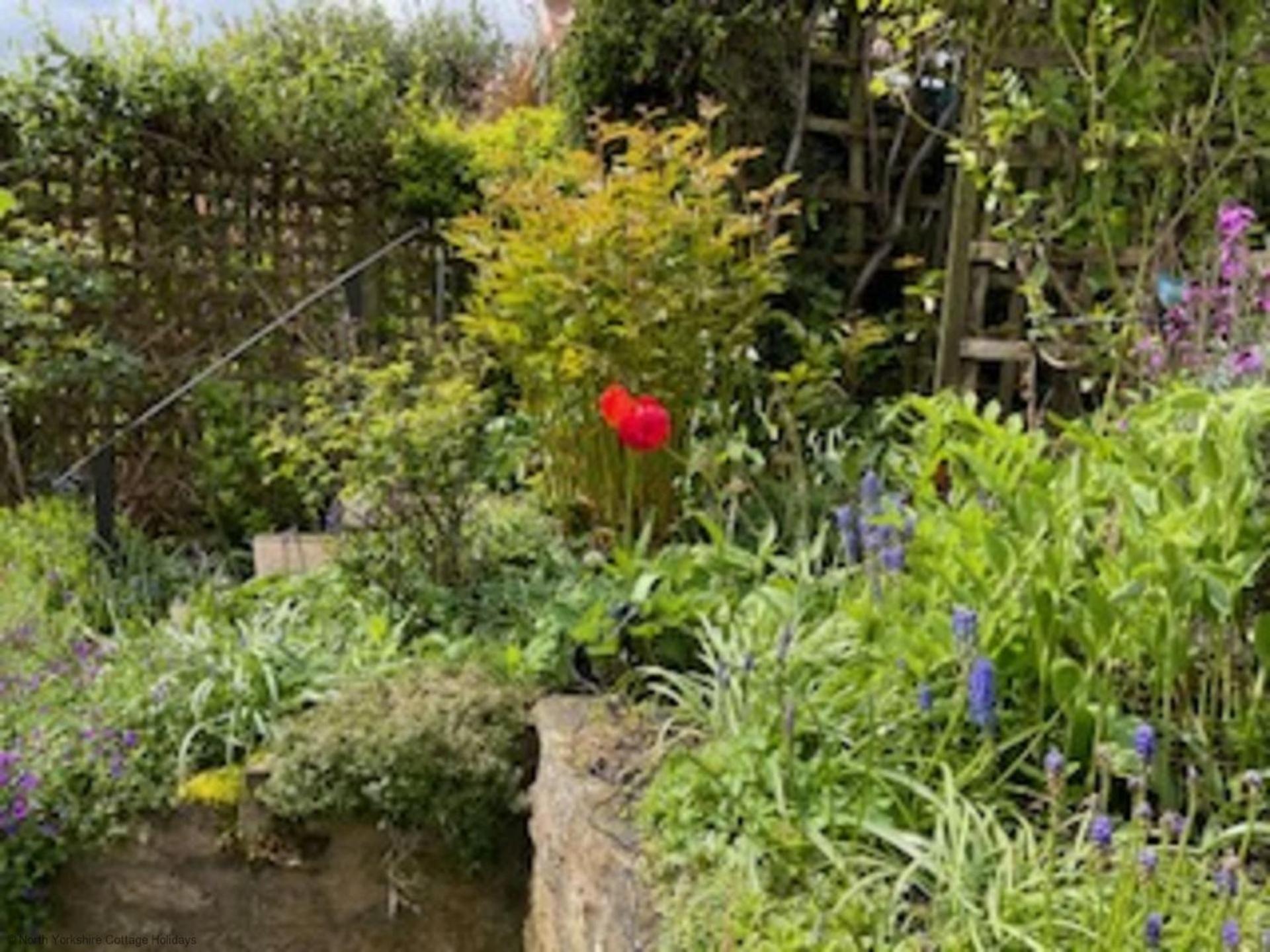 Picturesque Stone Cottage in the Heart of North Yorkshire Village - Hideaway Cottage