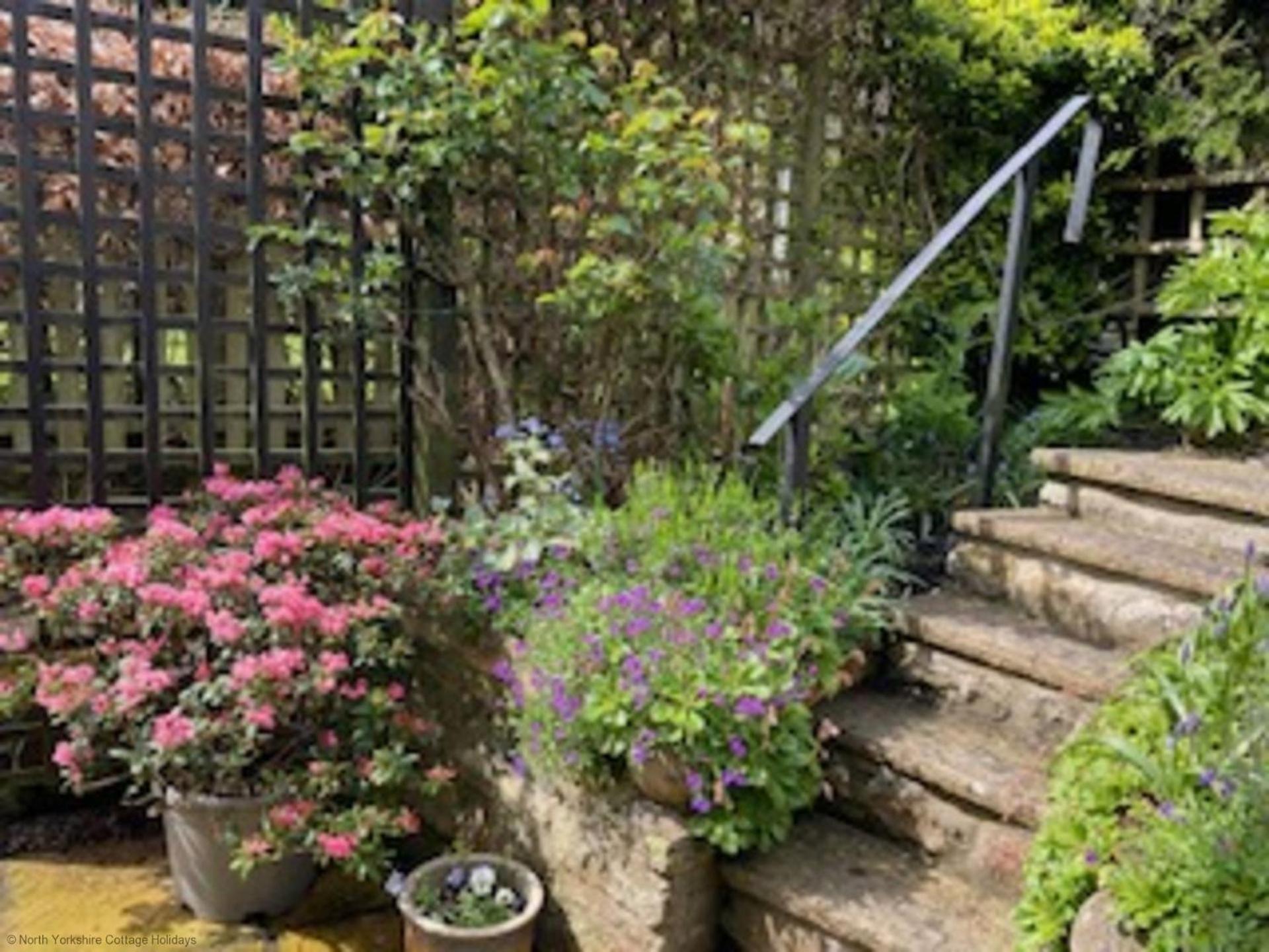 Picturesque Stone Cottage in the Heart of North Yorkshire Village - Hideaway Cottage