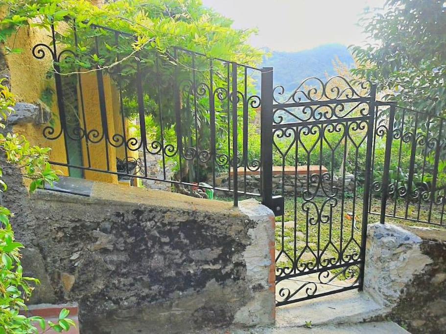 Photo 21