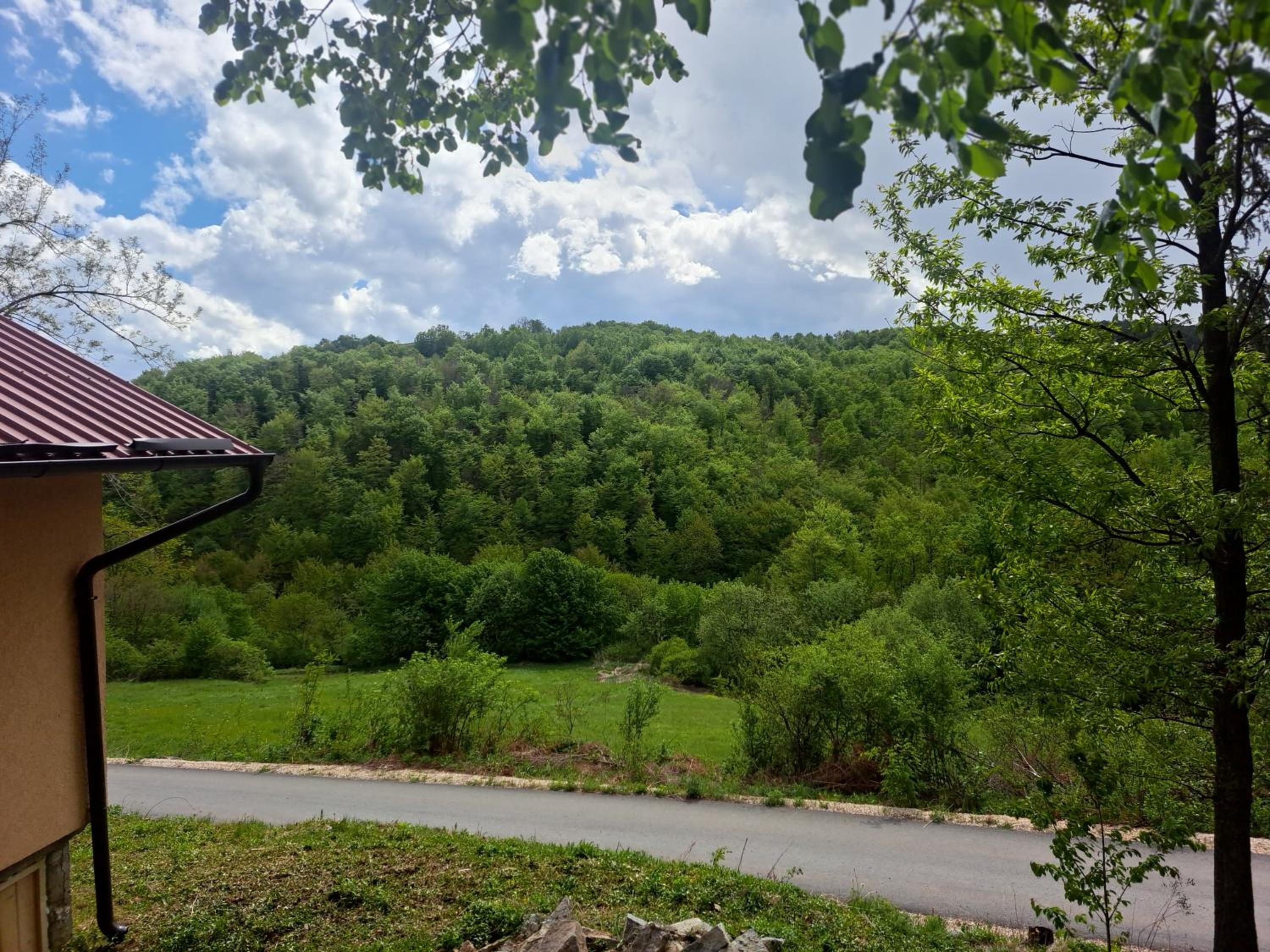 Vila Lipov Hlad Rajac view 5