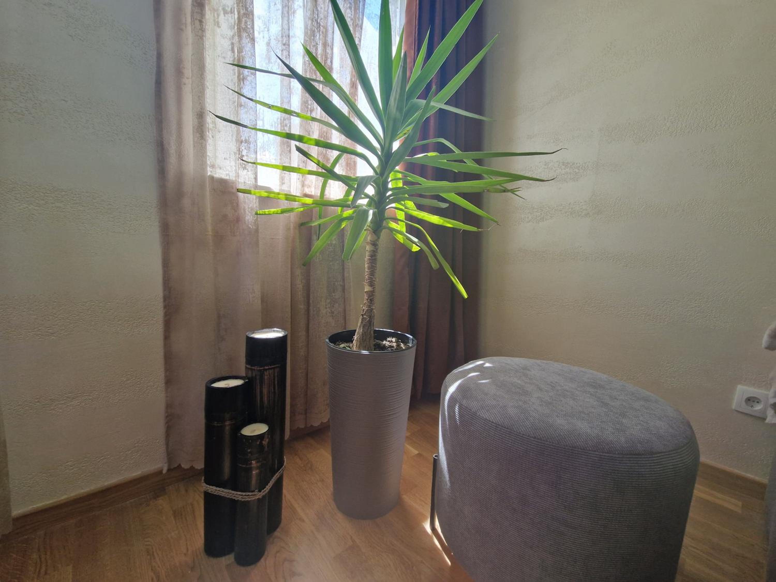 Apartmani Djuric Grey