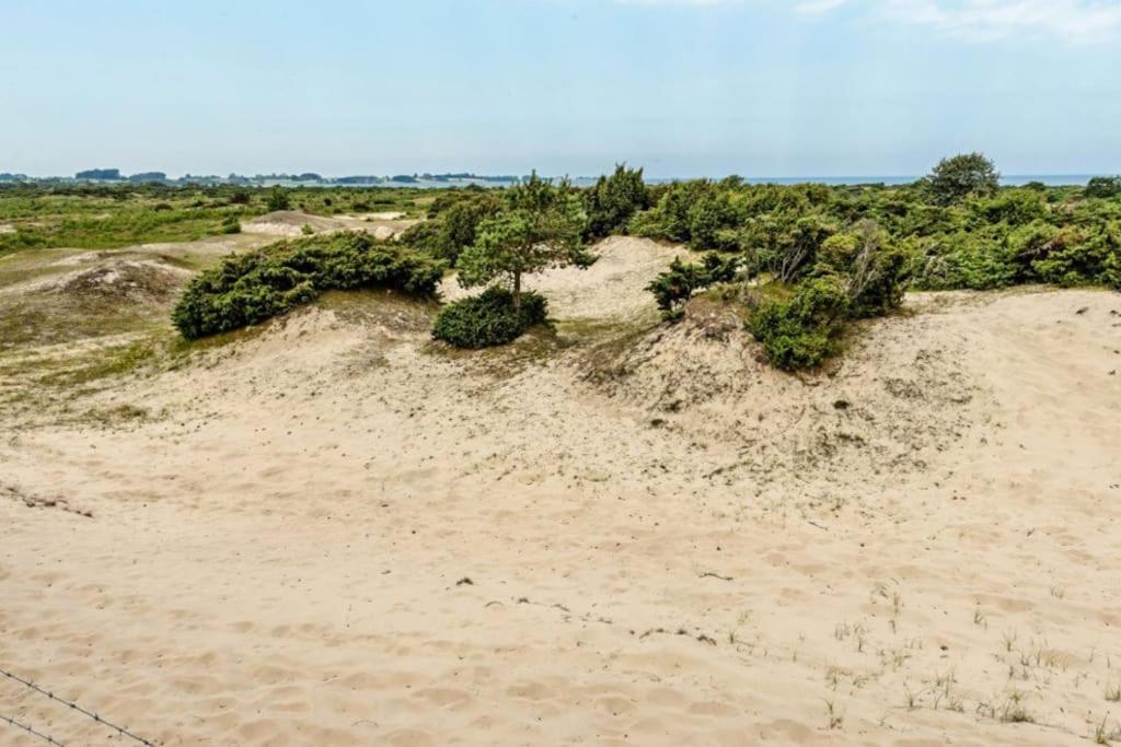 Havnsø med udsigt