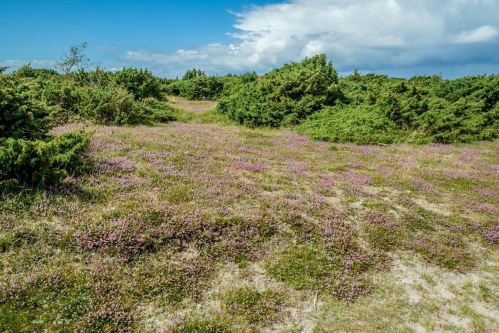 Havnsø med udsigt