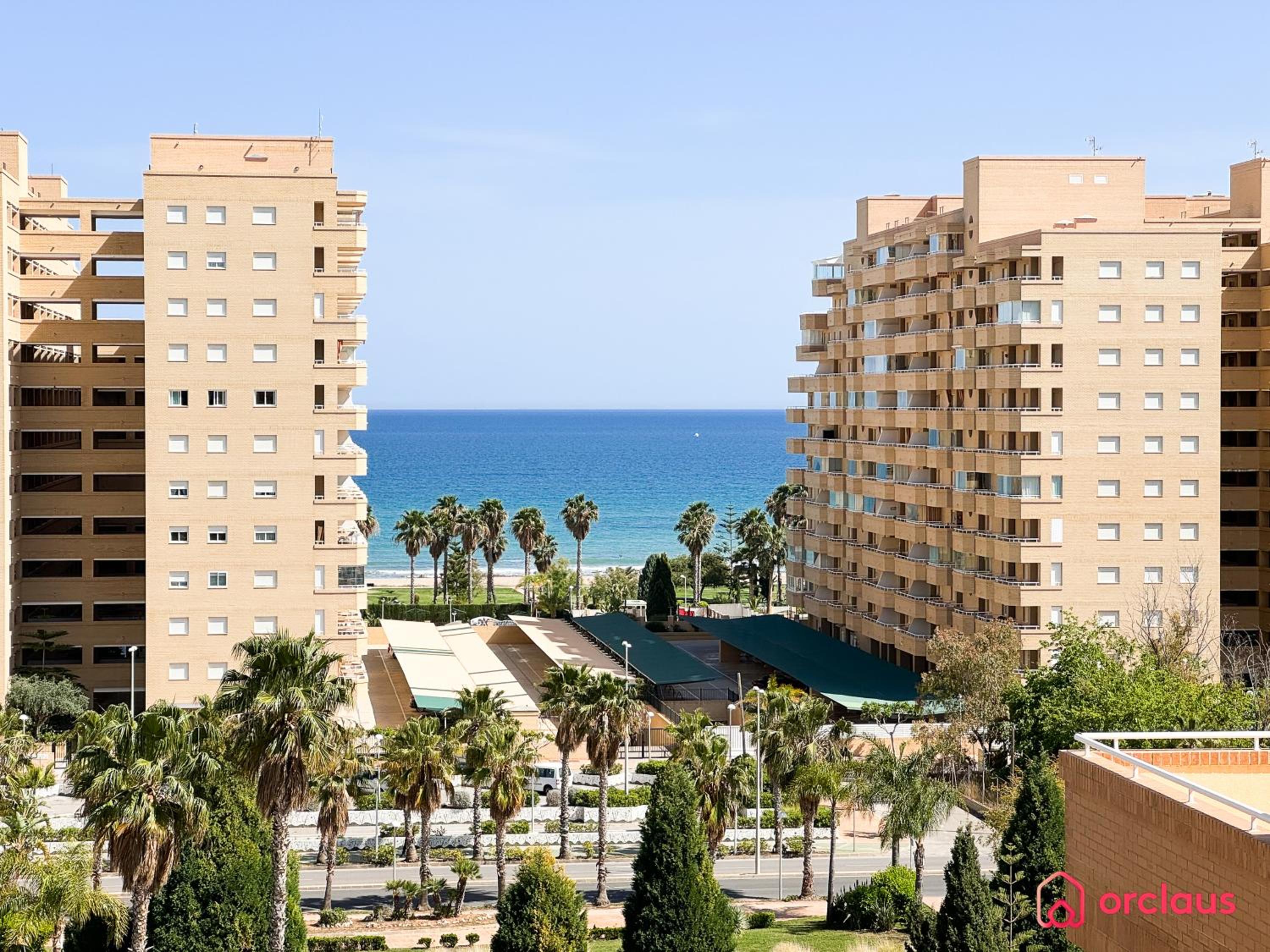 Caribe Paradise