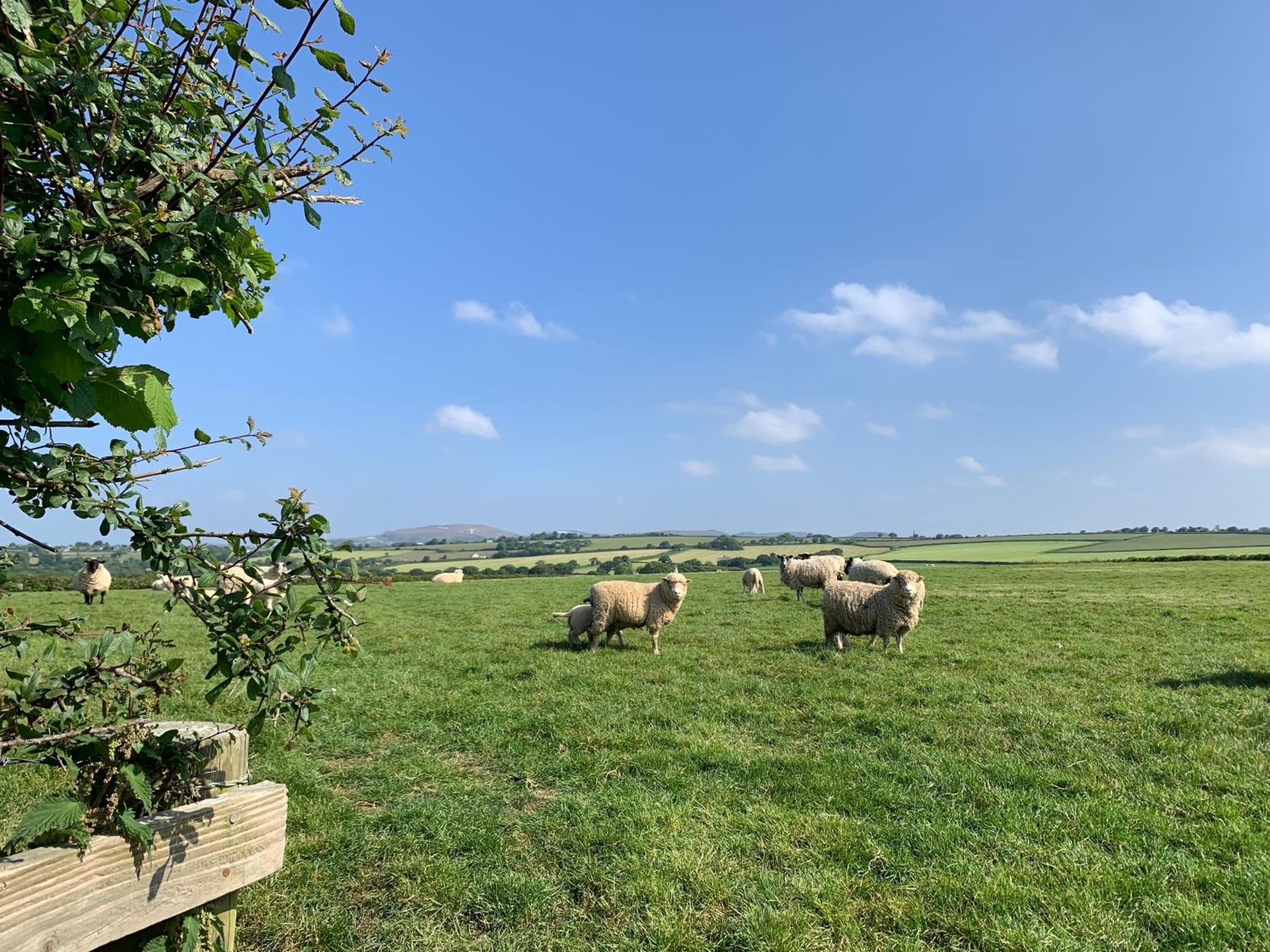 Rescorla Retreats - Sconnie view 3