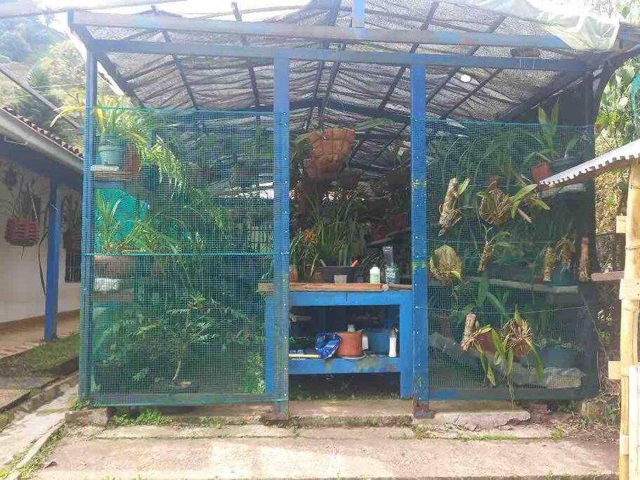 Villa del carmen: Un oasis de ensueño familiar