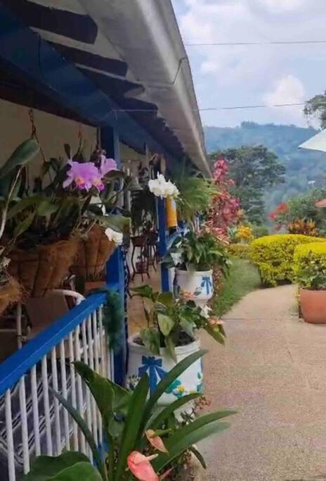 Villa del carmen: Un oasis de ensueño familiar
