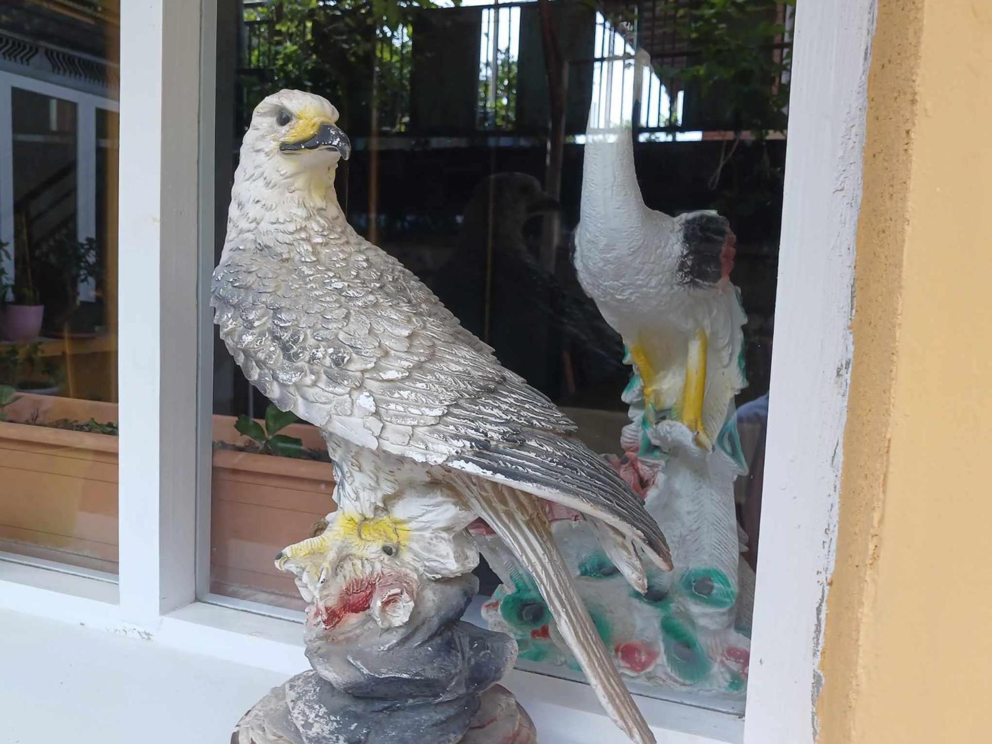 GIMZI