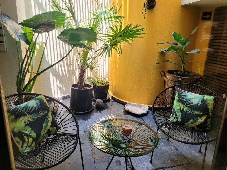 Suite Oz Condesa photo 3
