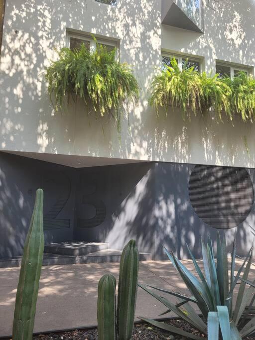 Suite Oz Condesa — Mexico City