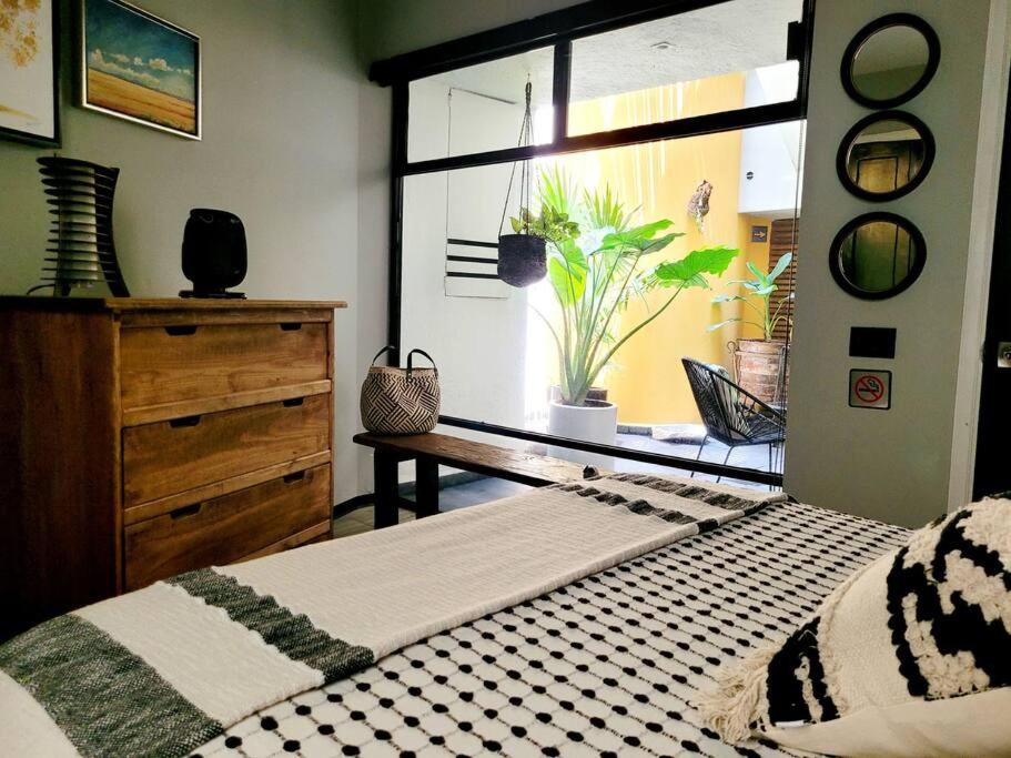Suite Oz Condesa