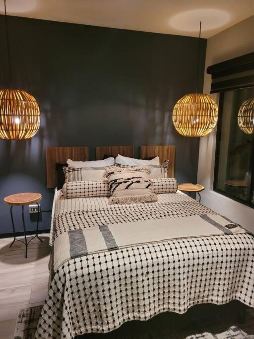 Suite Oz Condesa photo 4