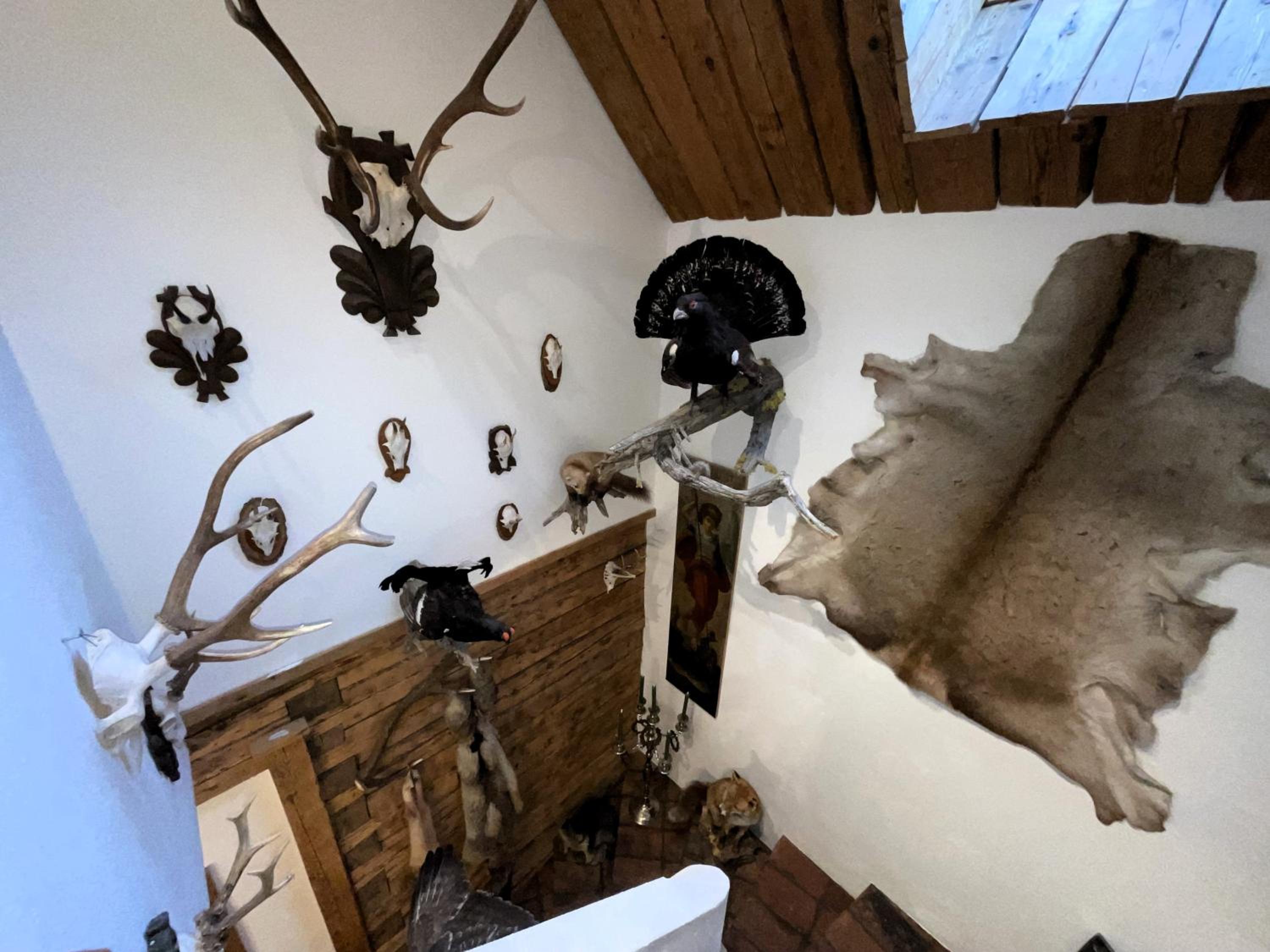 Ferienwohnung Aigner