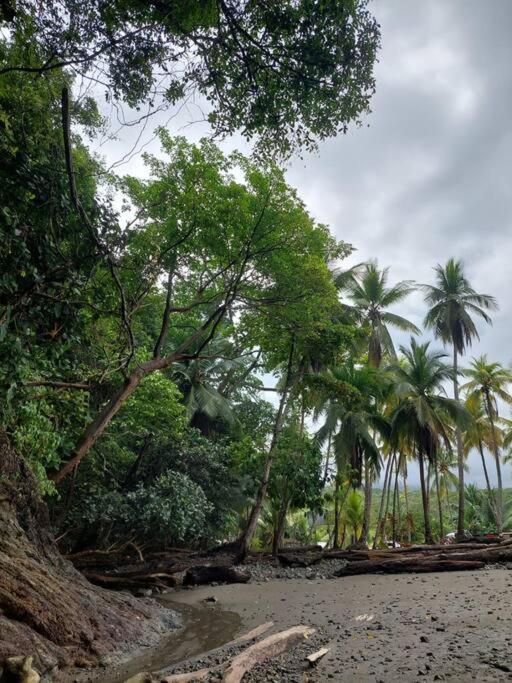 Casa Bahía Ale, Bahía Ballena Uvita