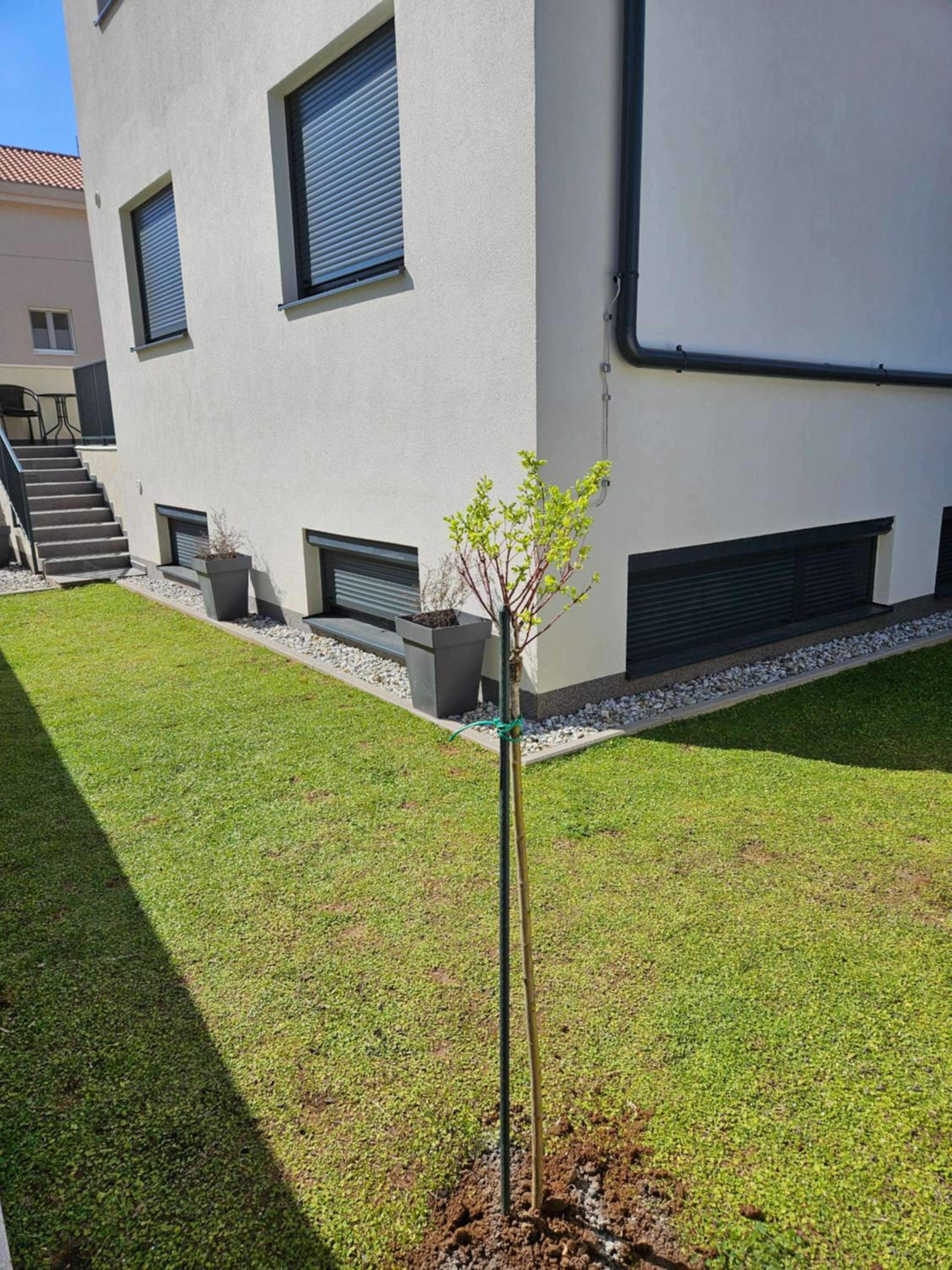 Hotel Azzurro apartment - with private rooftop jacuzzi - Image 1