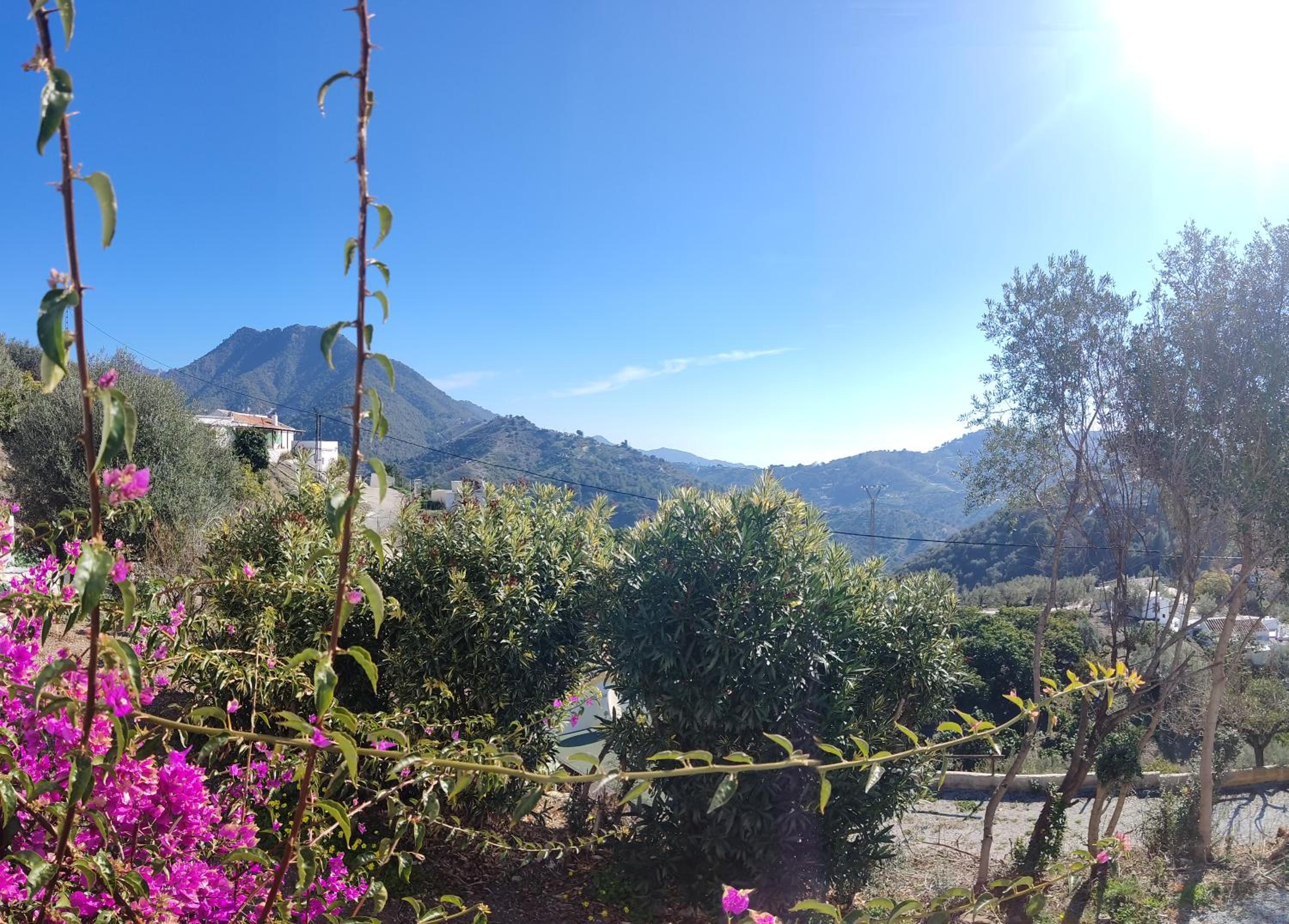 beautiful Casa Gazanias
