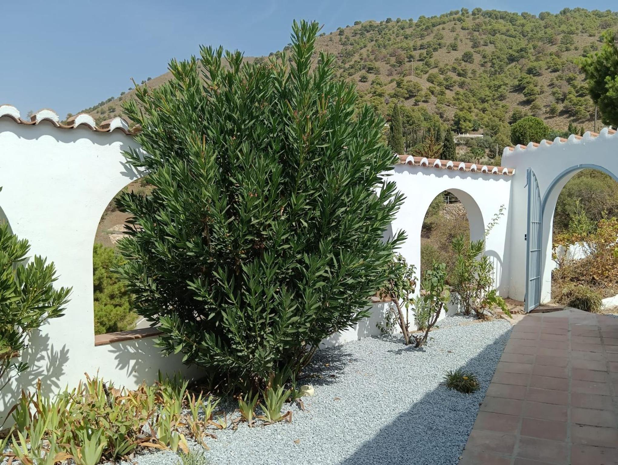 beautiful Casa Gazanias
