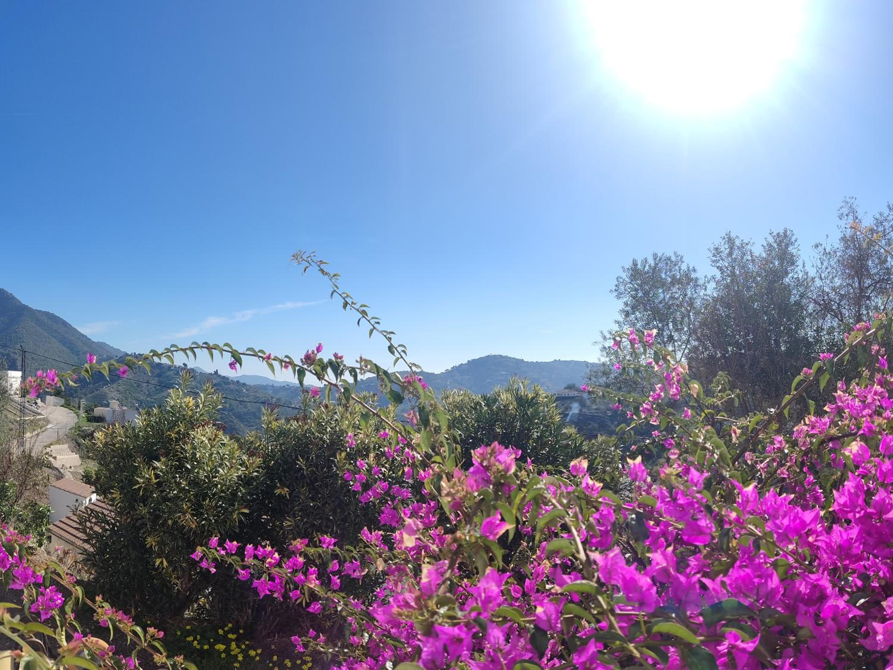 beautiful Casa Gazanias