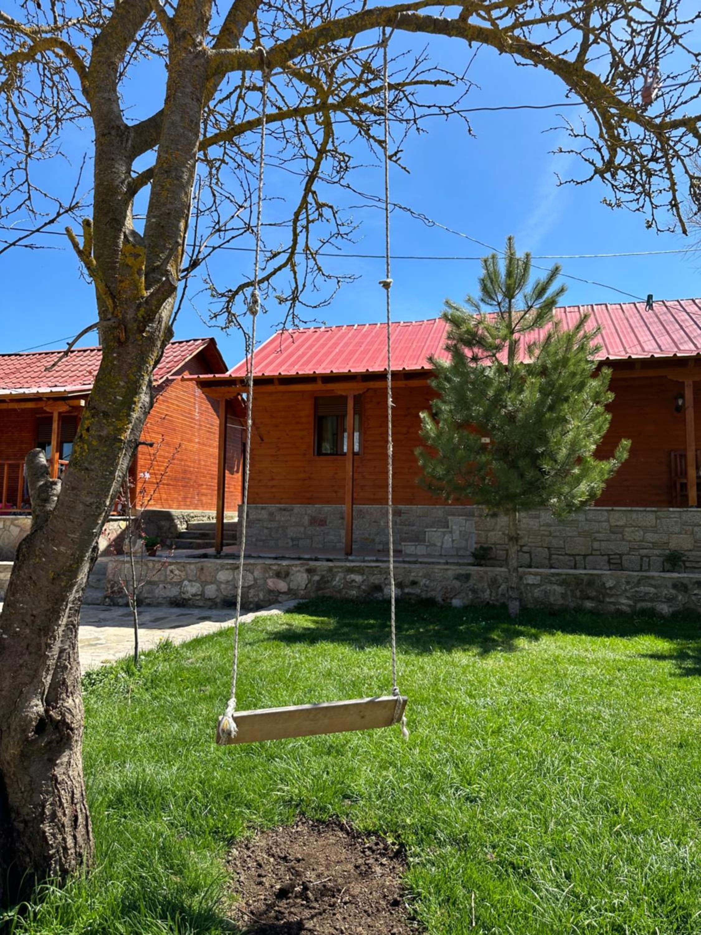 Shtepi Druri Arber