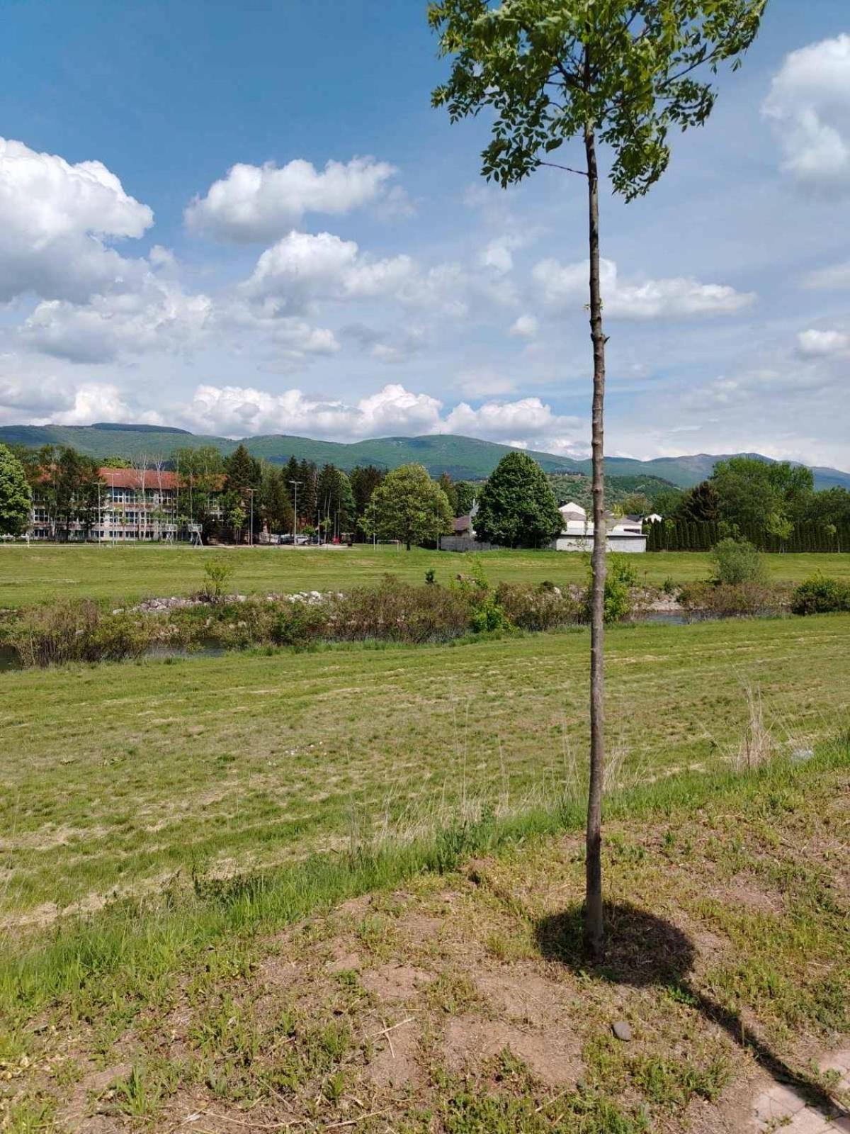 Apartman Branković Pirot-Zapadni Kej 58 view 4