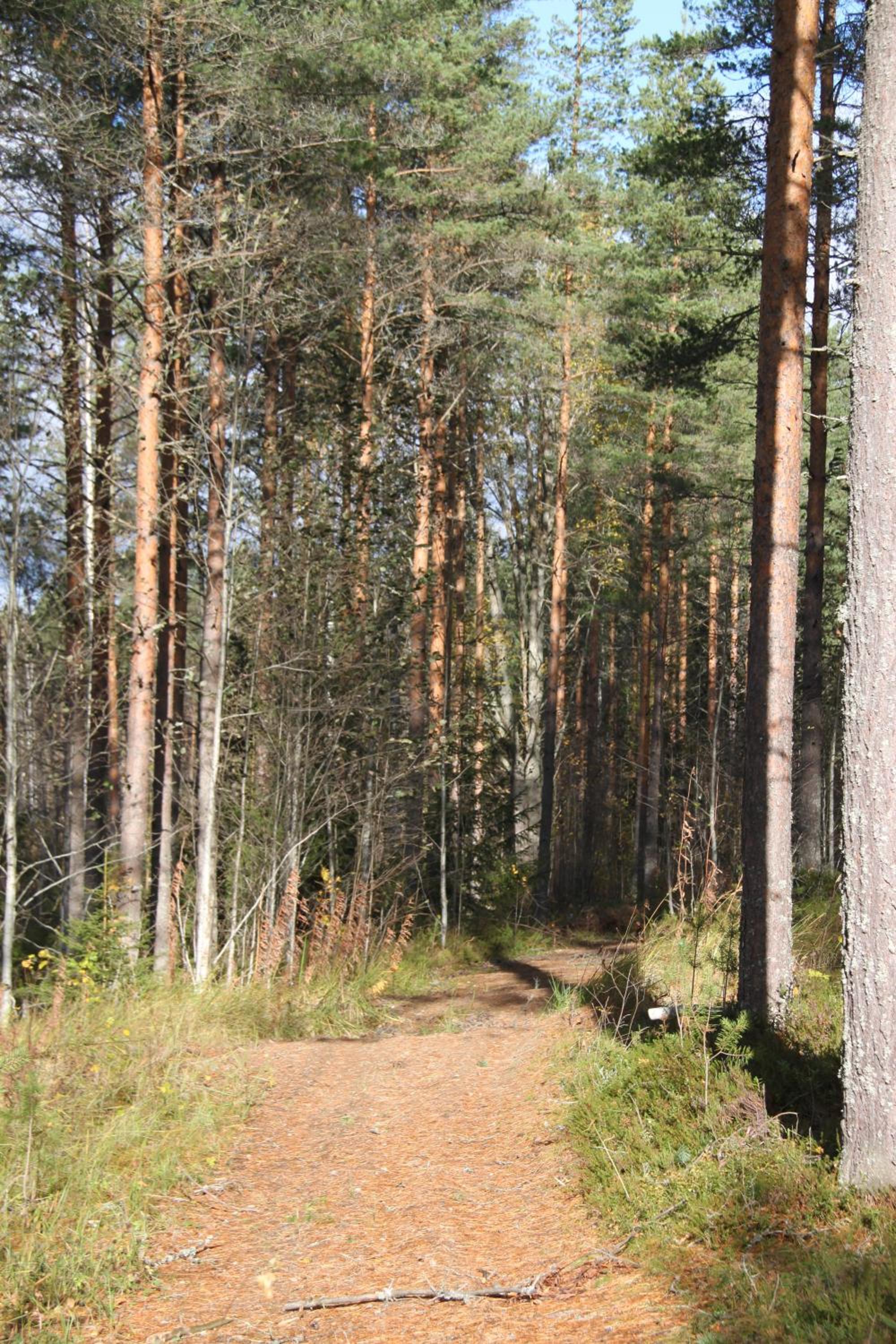 Photo 49