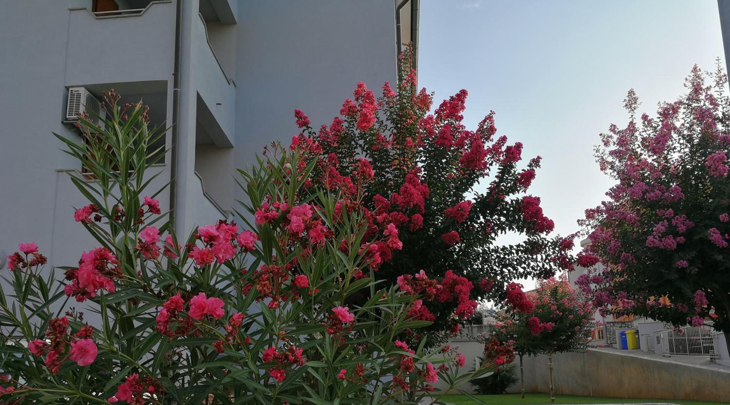 Apartments Kvarner