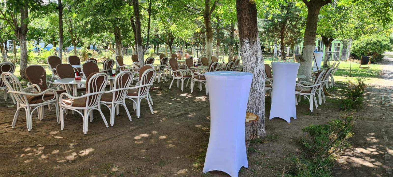 Salas potkovica
