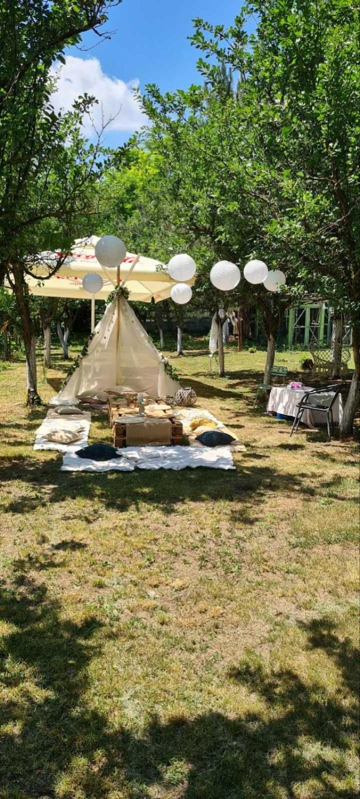 Salas potkovica
