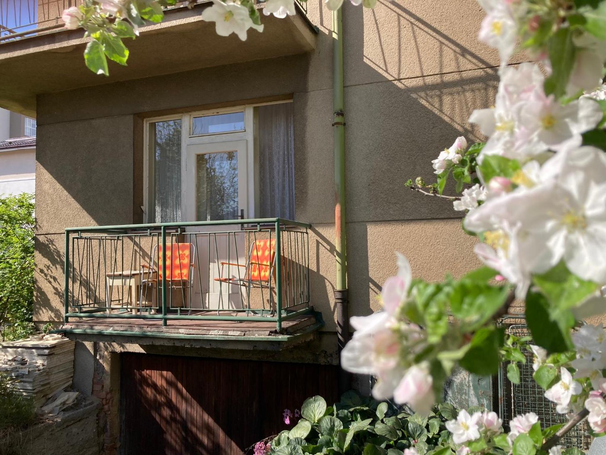 Spacious apartment - free parking!