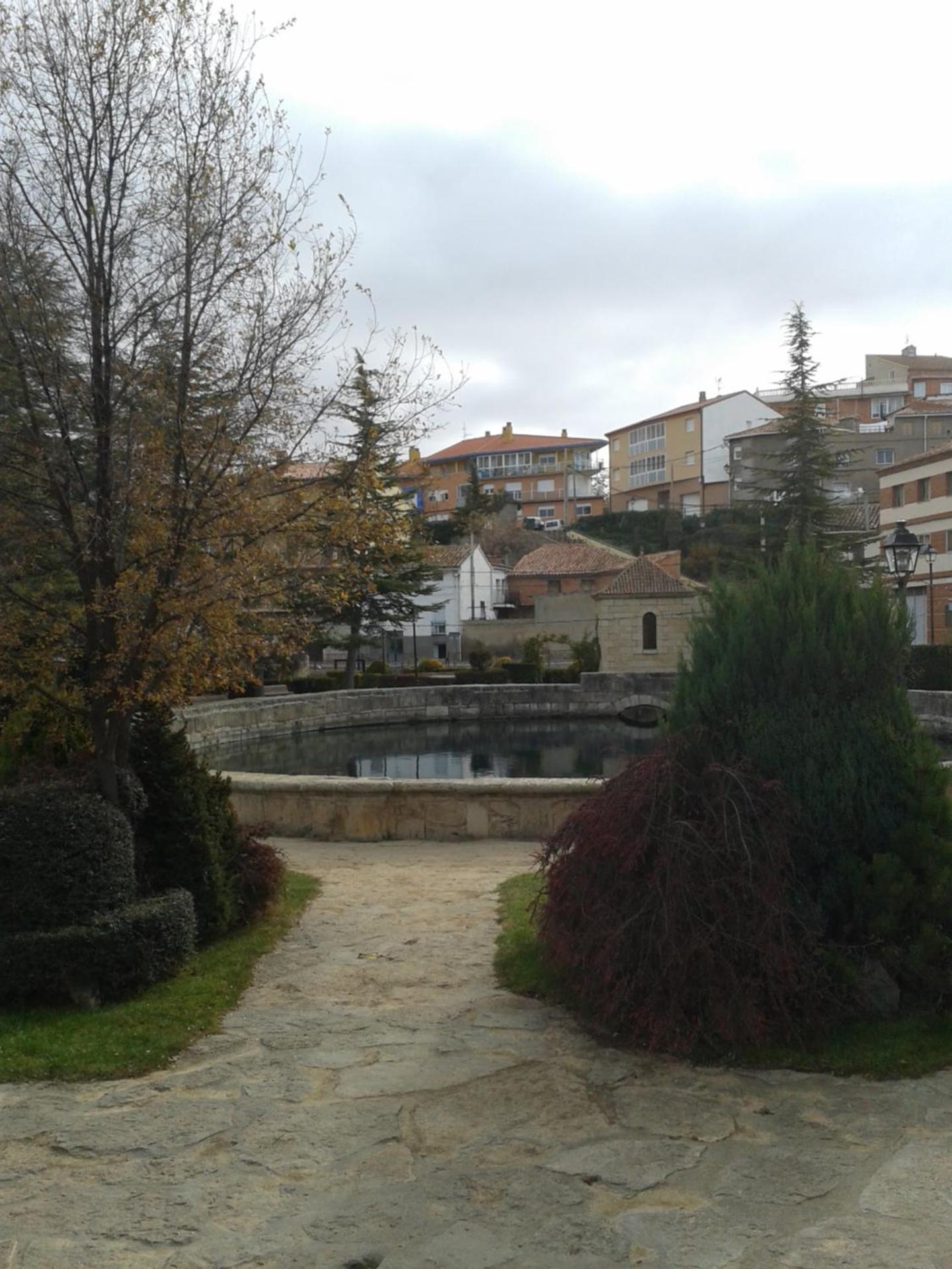 Photo 31