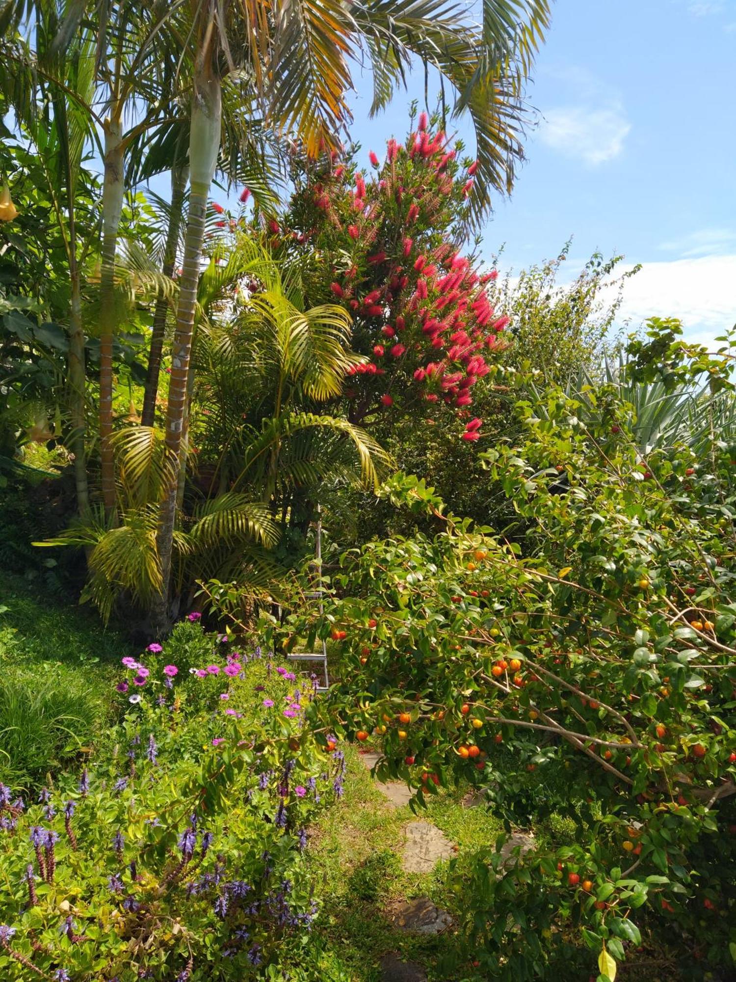 BioFuncho Garden Residence