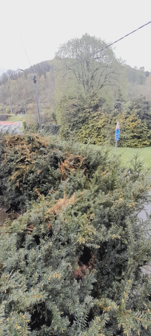 Vue sur la forêt à proximité de la gare