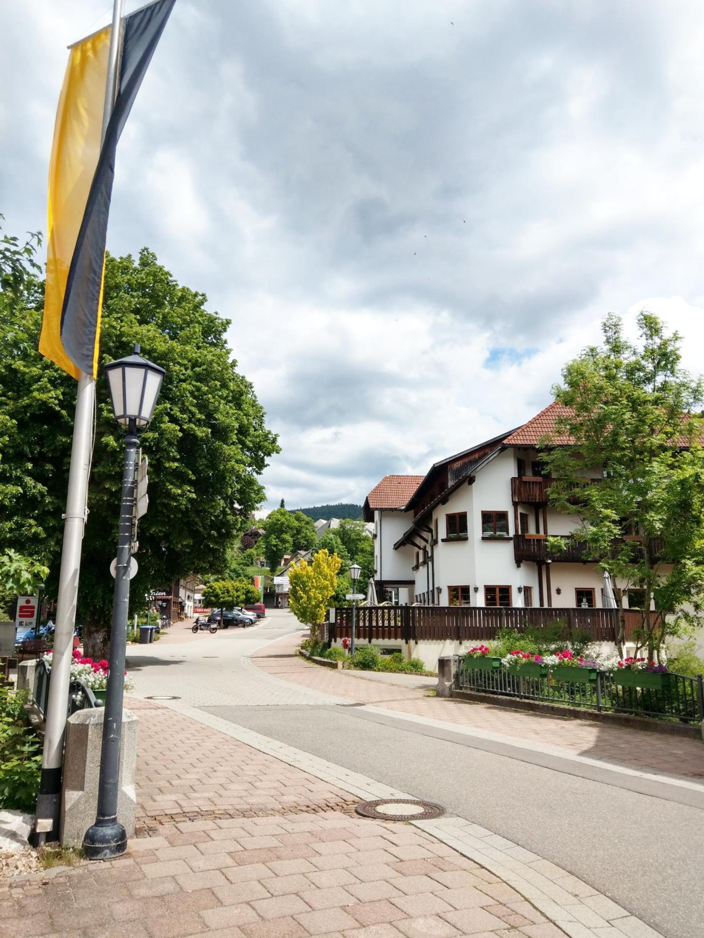 Ferienwohnung Waldblick
