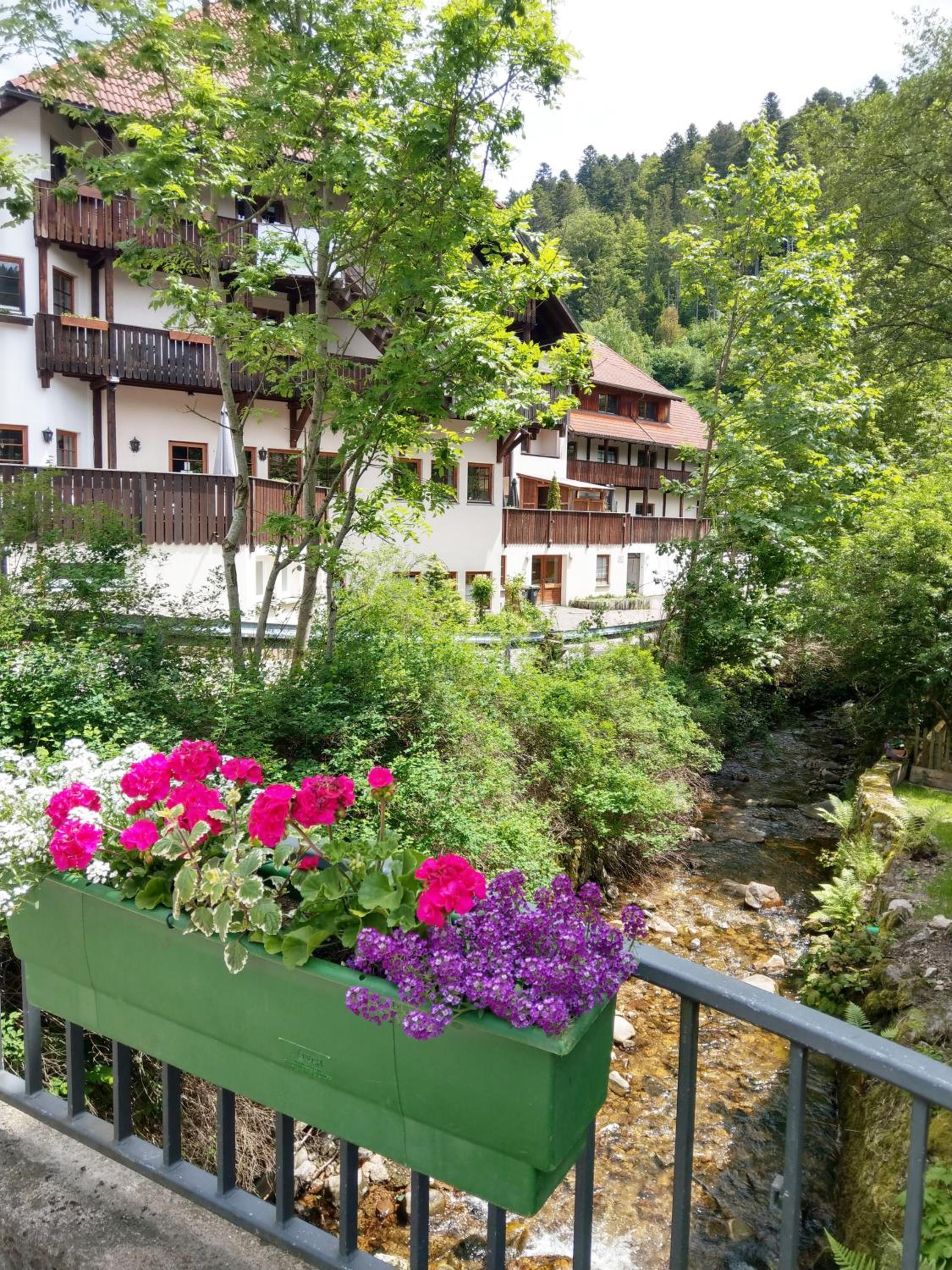 Ferienwohnung Waldblick