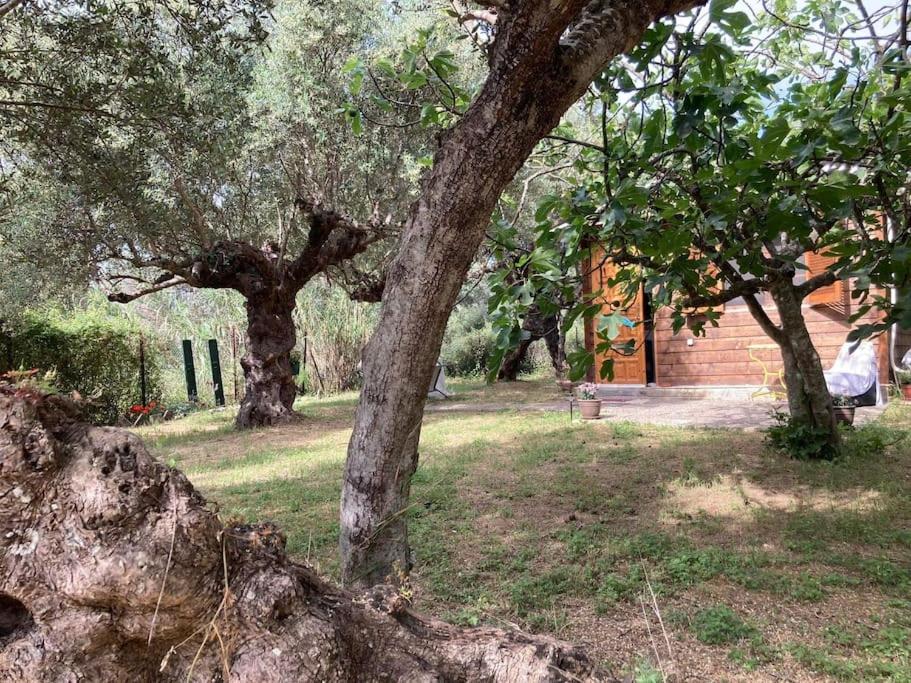 The poet's house view 5