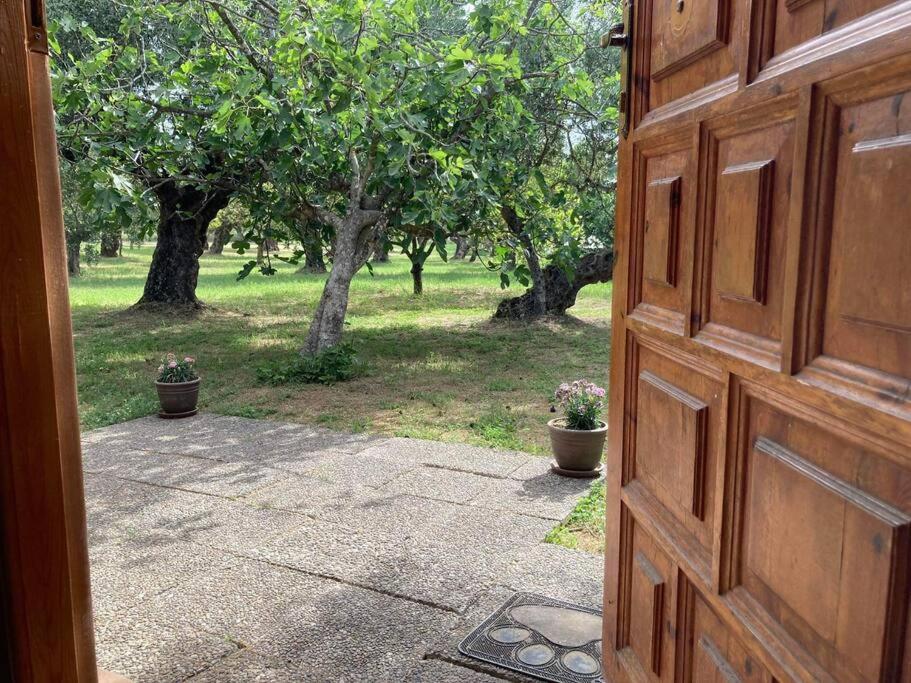 The poet's house view 4