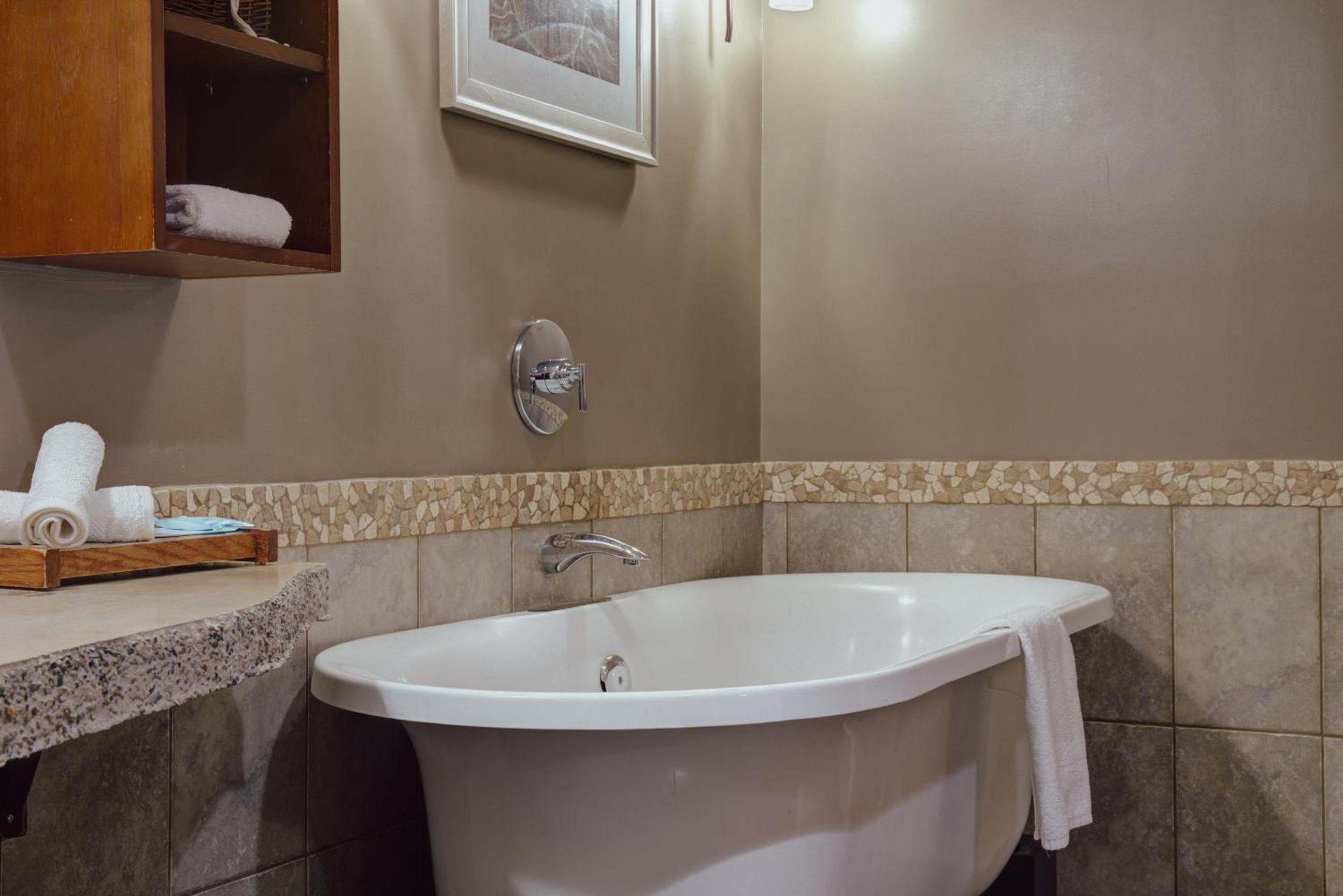 Panoramic Mountain View Condo